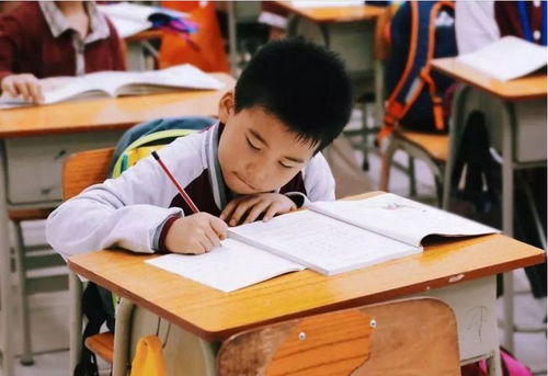 江蘇全面啟動(dòng)課后服務(wù)與家庭教育咨詢，為家長(zhǎng)減負(fù)解憂