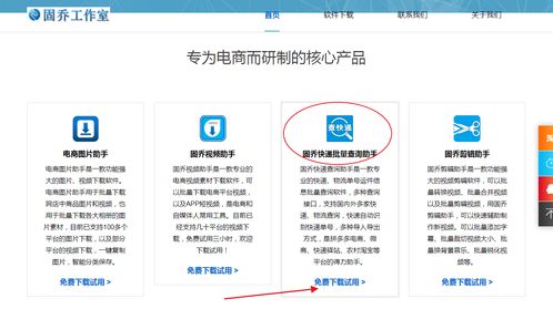 教你批量查詢快遞物流信息，一眼發現異常件——信息技術咨詢服務指南