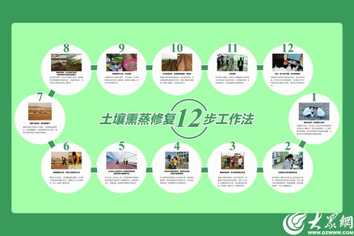 濰坊模式顯成效 全國首個生姜土壤熏蒸服務規范出爐，信息技術賦能農業新篇章